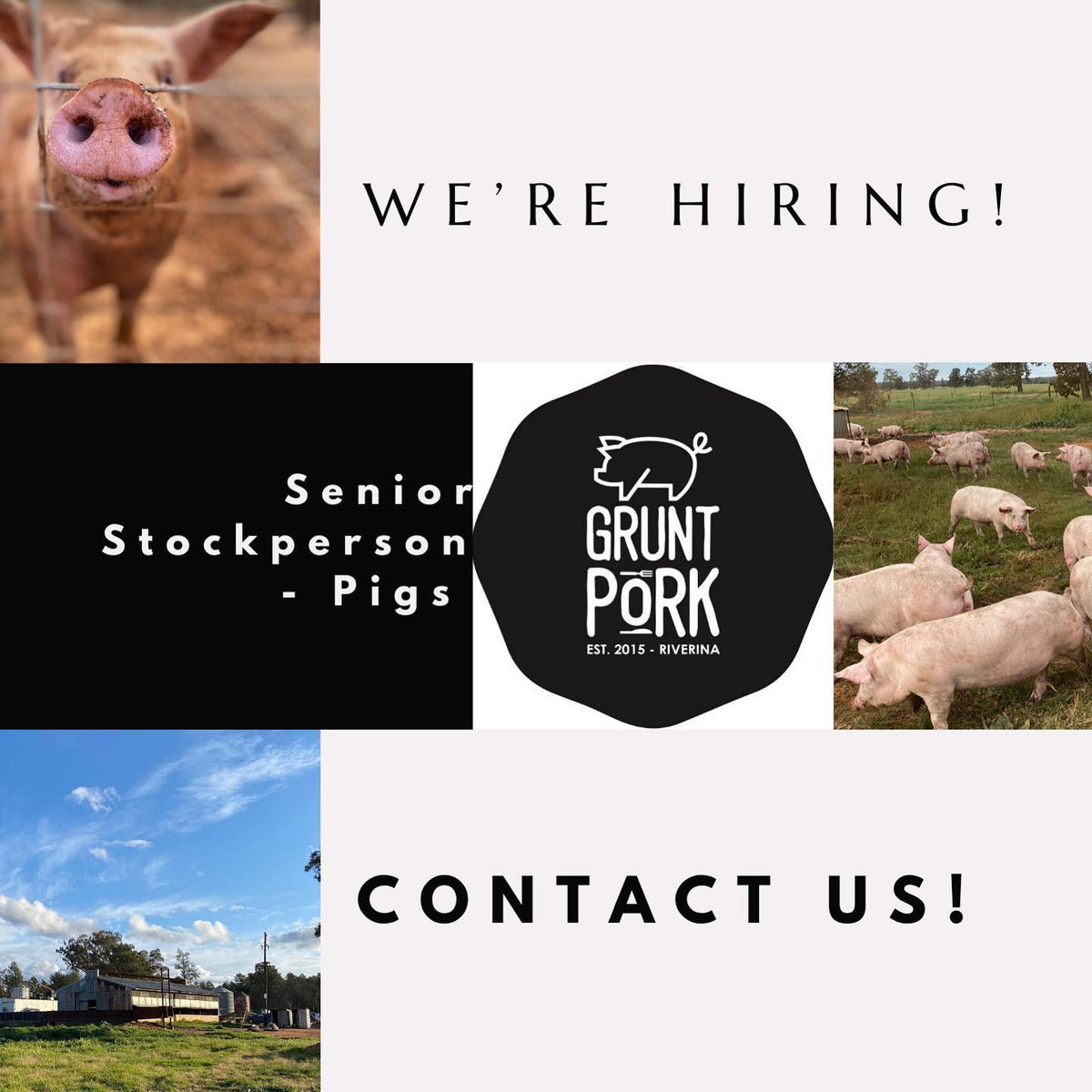 Job Opportunity – Grunt Pork Smokehouse